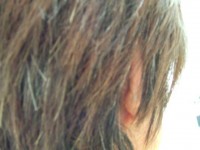 明日は店休日♪